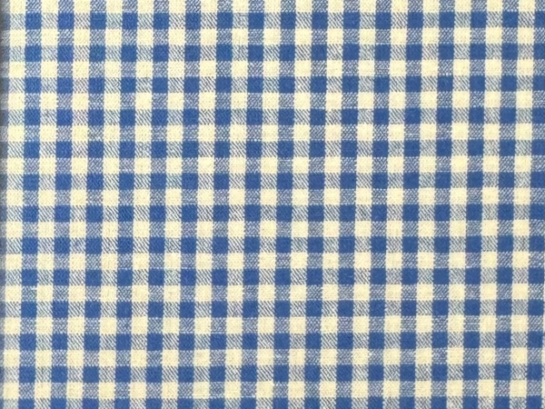 Baumwolle Vichy Karo Himmelblau 2,7mm Nr 4829